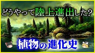 【ゆっくり解説】植物の誕生と上陸作戦とは？「植物の進化史」を解説/最初の陸上植物の謎とは何か？