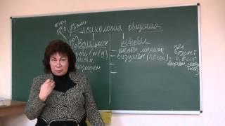 Невербальное общение. Психолог Наталья Кучеренко, лекция №06.