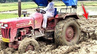 Mahindra tractor ready to Paddy seed land || Tractor Guru Subha ||