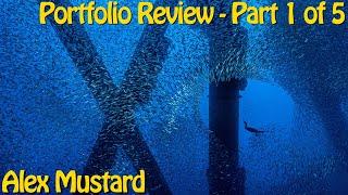 Underwater Photography Portfolio Review 1 of 5 - Alex Mustard