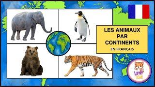 LES ANIMAUX PAR CONTINENTS | Les noms et bruits pour les enfants