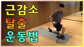 노년기 근감소를 막아주는 근력운동법 l 근감소증 3탄 근력운동 l 닥터딩요