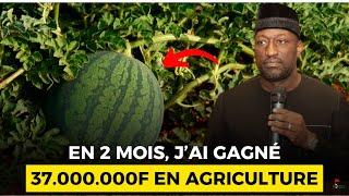 INCROYABLE: Il Gagne UN Milliard de Fcfa en UN an avec l'AGRICULTURE après avoir perdu 30 ans de vie