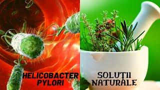 Infectia cu Helicobacter Pylori / Remedii Naturiste