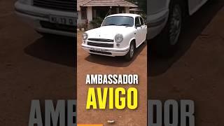 HM Ambassador AVIGO | A Rare Ambassador #shorts #ambassador #nostalgia #cars #classic #india #cars24