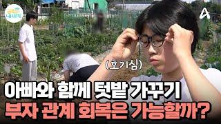 아빠와 함께 옥수수 모종 심기, 중2 아들은 마음을 열 수 있을까? | 요즘 육아 금쪽같은 내새끼 242 회