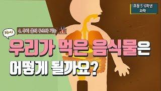 [초등 과학 6-2] 4. 우리 몸의 구조와 기능 - 3차시 우리가 먹은 음식물은 어떻게 될까요? : 소화기관