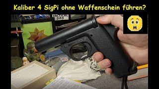 Kaliber 4 Signalpistole darf man ohne Waffenschein führen, wenn...