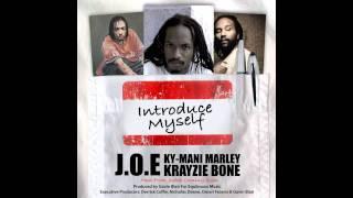 J.O.E Feat. Ky-Mani Marley & Krayzie Bone - Introduce Myself