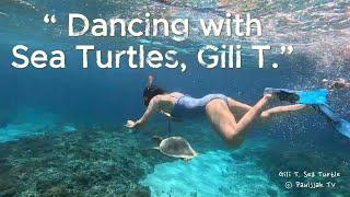 Dancing with Turtles? | Gili Trawangan Turtle Point Snorkeling | Traveling Bali Lombok, Indonesia