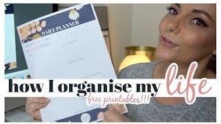 HOW I ORGANIZE MY LIFE - NEXT LEVEL PRODUCTIVITY & FREE PRINTABLE PLANNERS || THE SUNDAY STYLIST