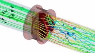 Computational Fish Dynamics