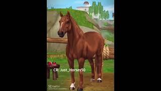 #horse #starstable