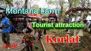 Korlat Places to go. Thailand. Montana Farm . Day out and feed the Alpacas