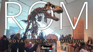 Largest Museum in Canada  //  Royal Ontario Museum (ROM) Virtual Tour  //  2024