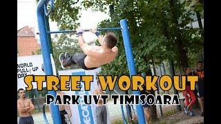 Street workout Parc  UVT Timişoara