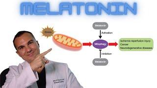 Melatonin CONTROLS Autophagy, Mitophagy, & Mitochondrial Biogenesis