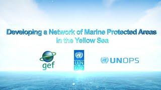 YSLME Developing a network of Marine Protected Areas in the Yellow Sea