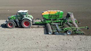 FENDT 942 mit neuer 9 Meter AMAZONE CIRRUS 9004-2C Grand Drille / alte Aufnahme von 2021 / 4K