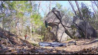 Nose Arrow V7