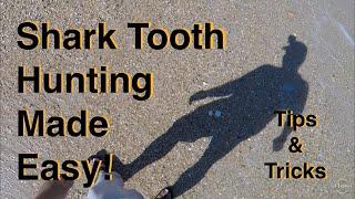 Shark tooth hunting tips & tricks. Ponte Vedra. Florida fossil hunting. Things to do in Florida.