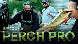 PERCH PRO 10 - Episode 5