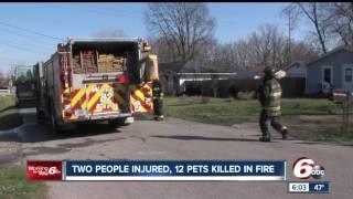 Fire started by space heater kills 12 animals on Indy's west side