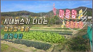 24 - 21//철마 마을앞 문전옥답형 주말농장입니다..시내버스로도 올수있는 접근성 좋은 곳 입니다,