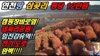 연천땅 평당12만원 연천토지 캠핑장옆 임진강 댑싸리공원 생산관리 연천부동산 운정부동산 파주땅 포천땅