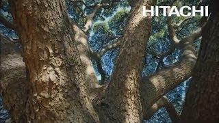 A Visão Ambiental do Grupo Hitachi  (Versão Pequena) - Hitachi