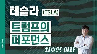 테슬라 (TSLA) - 트럼프의 퍼포먼스