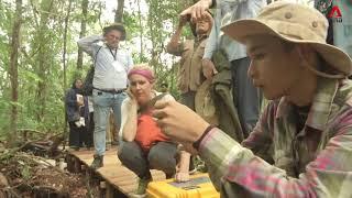 ChannelNewsAsia - Katingan Mentaya Project protects peatlands to fight climate change