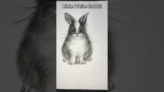 Draw a little white rabbit,Artistic Creation