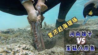 Day 12 of "Fiji": My God, the Henan girl took the thief-sized octopus with her bare hands!