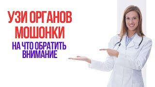 УЗИ органов мошонки на что обратить внимание.