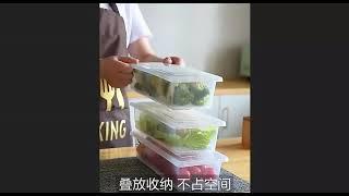 Refrigerator Storage Box Frozen Fish Meat Drain Preservation Box