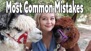 Most Common Mistakes Made By New Alpaca Owners