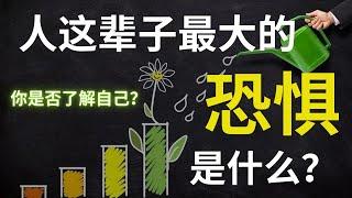 周文强老师演讲财商 | 财商思维学语录