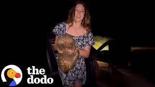 American Influencer Kidnaps Baby Wombat From Mom | The Dodo