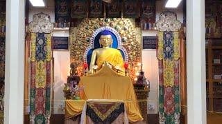 The Dalai Lama Temple McLeod Ganj Himachal