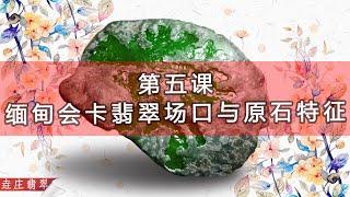 緬甸會卡翡翠場口及其賭石特徵 #翡翠 #翡翠原石 #賭石 #A貨 【翡翠原石知識技巧講堂-五】