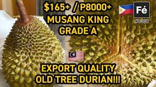 Musang King Durian Taste Test - $165 Grade A Old Tree Mao Shan Wang | #1308