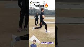 Shaheen Shah Afridi Bowling Action/ Shaheen Shah Best Bowling Start Up And Action #bowling #cricket