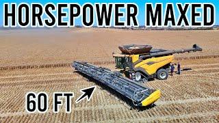 New Holland CR11 Tested with Massive 60ft Front | Australia