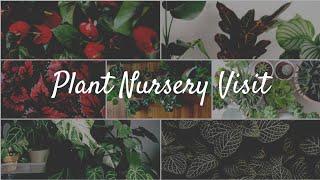 Plant nursery tour||ഒരു കൊച്ചു Plant shopping vlog|| Green Panther Juan