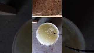 Ozone For The Win - Clear Water! 1 Hour Time Elapsed Video. LOVE OzoneBrandon Grassilli, Ramona, CA