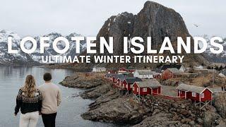 Ultimate Lofoten Islands Winter Travel Guide 2024 