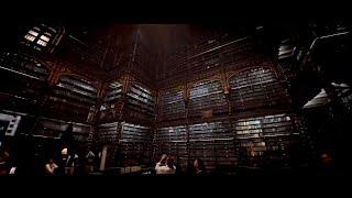 Discover the breathtaking library of Portuguese literature