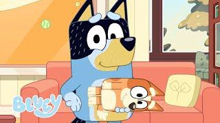 Bingo 3000   | FULL BLUEY MINISODE | Bluey