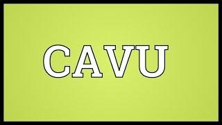 CAVU Meaning